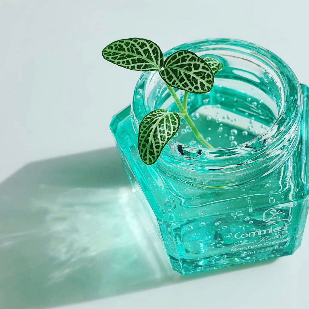 Introducing Commleaf