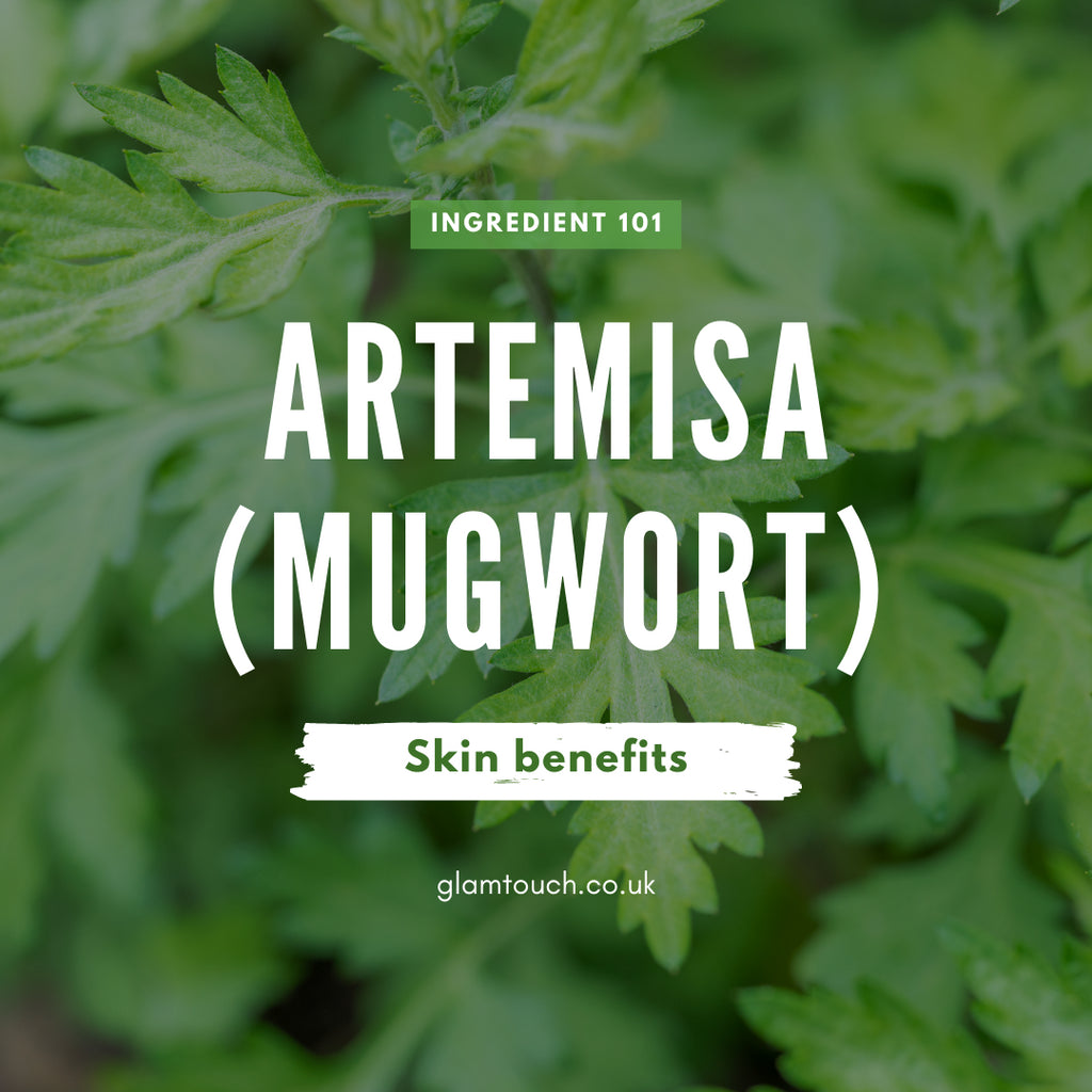 Let's talk about Mugwort! The K-Beauty Skincare Ingredient of 2020