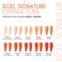 DGEL Signature Color Gel Orange Tone