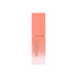 Dasique Juicy Dewy Tint