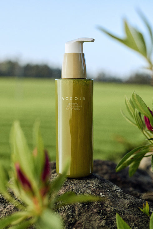 Accoje Reviving Dust Cleansing Gel to Foam 180ml