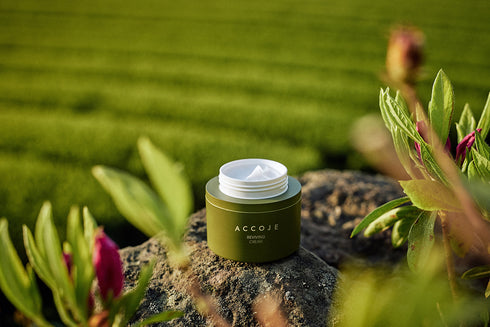 Accoje Reviving Cream 50ml