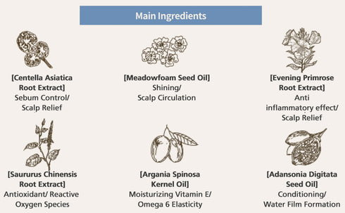CURLYSHYLL Root Remedy Treatment For Hair & Scalp Care 250ml